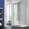 Horizon 110 cubicle with pivot door