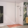 Solo 6 + with chrome profiles, ceiling bar, and transparent glass