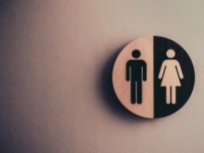 Saniflo's Sanitation Initiative For World Toilet Day.
